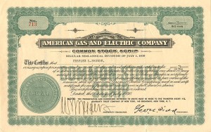 American Gas and Electric Co.